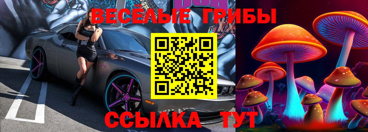 Псилоцибиновые грибы Cubensis  Псилоцибиновые грибы мухоморы  Азов  Вход с VPN 